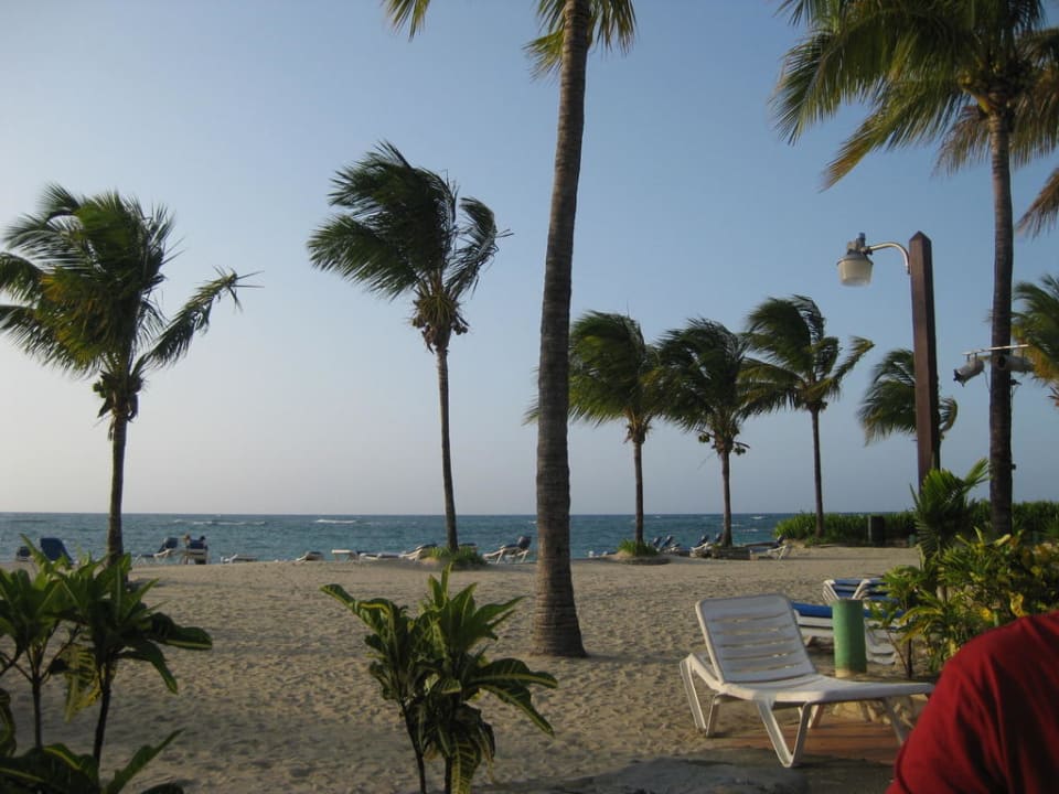 Ausblick von der Sinners Bar Grand Paradise Playa Dorada