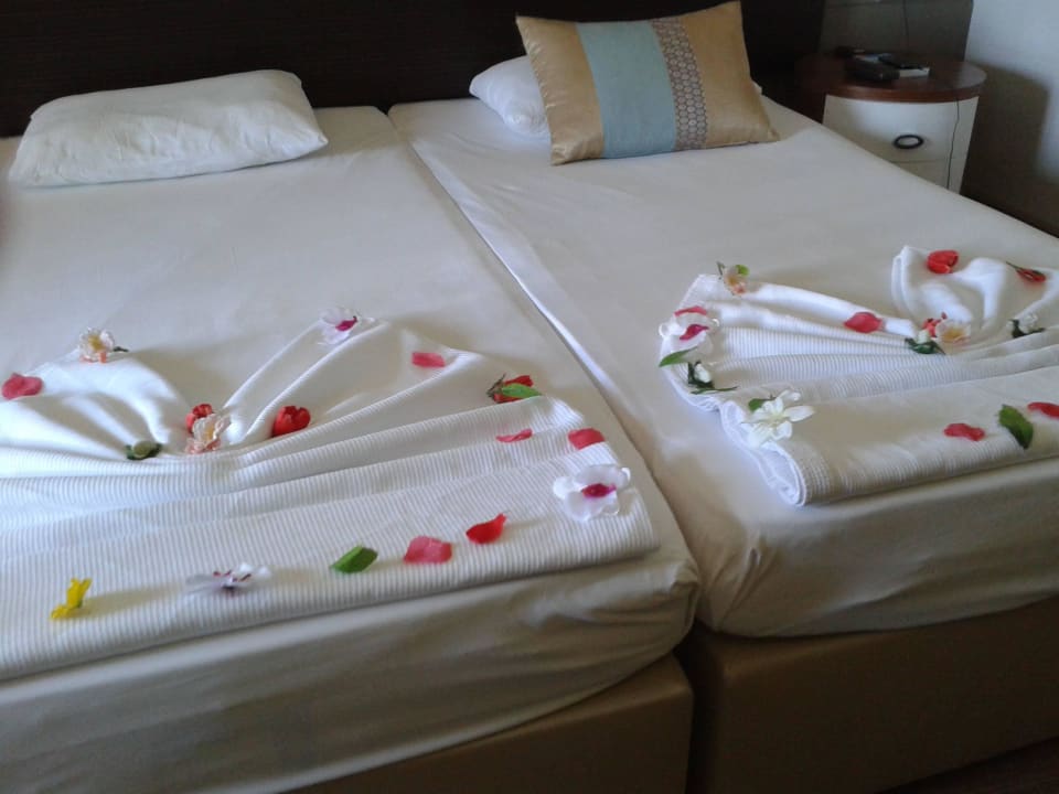 Toll oder nicht ? Hotel Grand Side