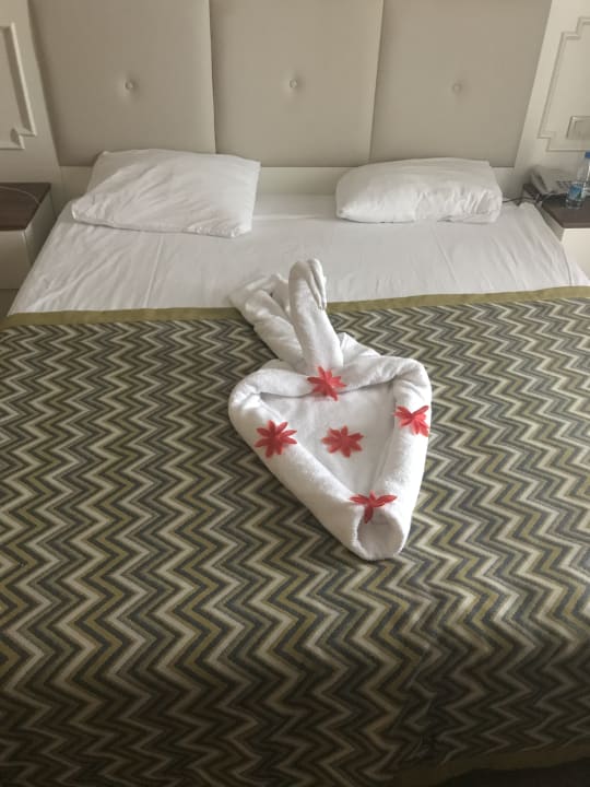 Zimmer Well Palace Side