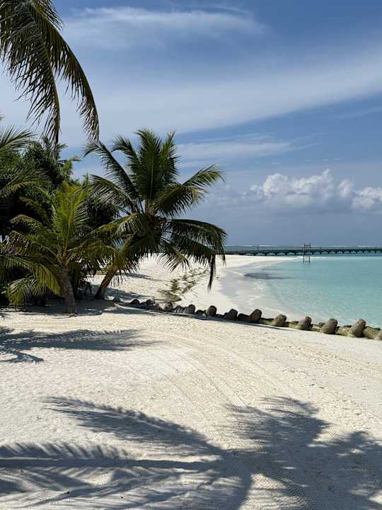 Strand Jawakara Islands Maldives