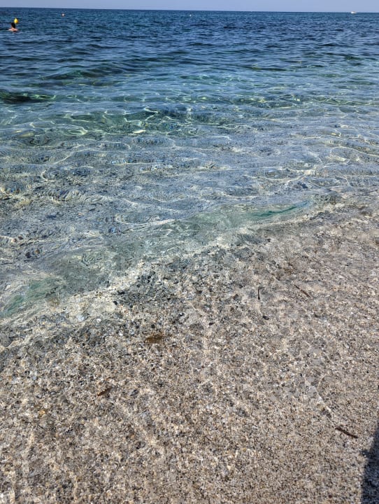 Strand TUI SUNEO Chrissi Amoudia