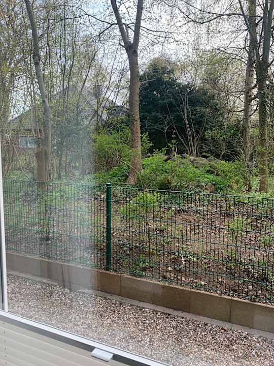 Ausblick Gästehaus "Alte Bücherei"