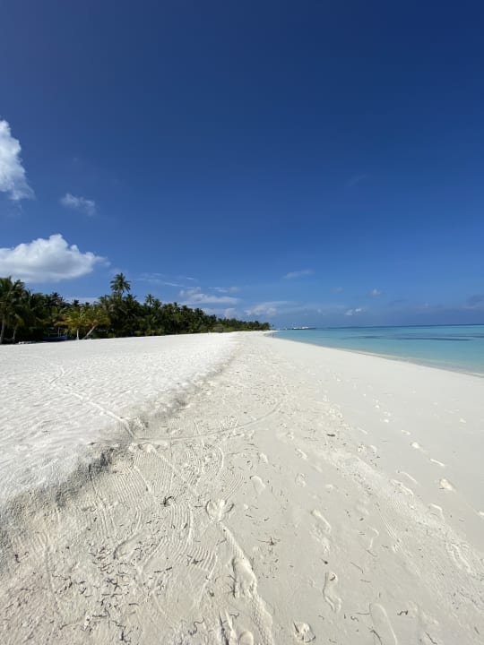 Strand Meeru Maldives Resort Island