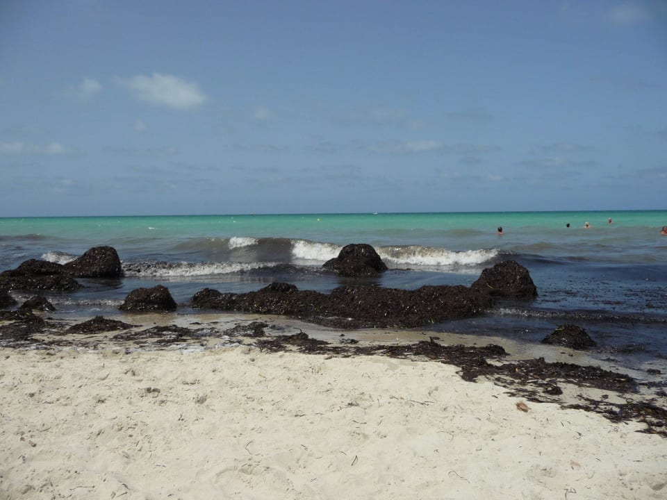 Seealgen Djerba Sun Beach Hotel & Spa