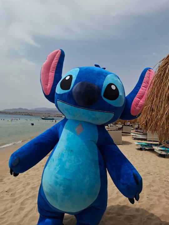 Sport & Freizeit Eagles Paradise Abu Soma