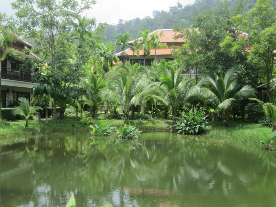Teich vor Zimmer Khaolak Laguna Resort