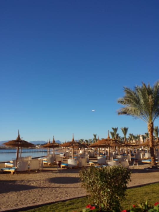 Mega geil Beach Albatros Resort