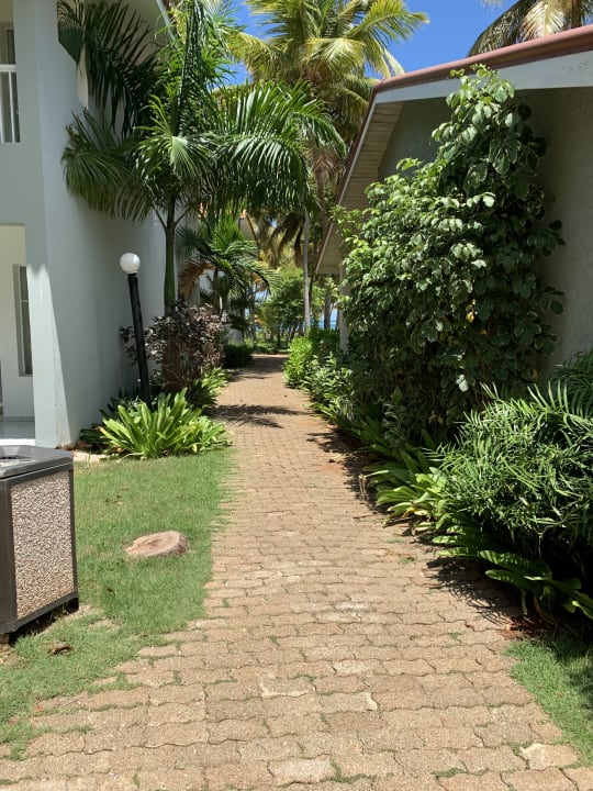 Gartenanlage Wyndham Alltra Samana