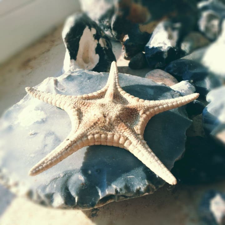 Mehr Meer geht nicht  Haus am Meer