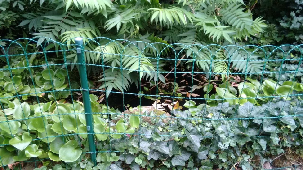 Gartenteich? Ferienwohnung Zuckerberg