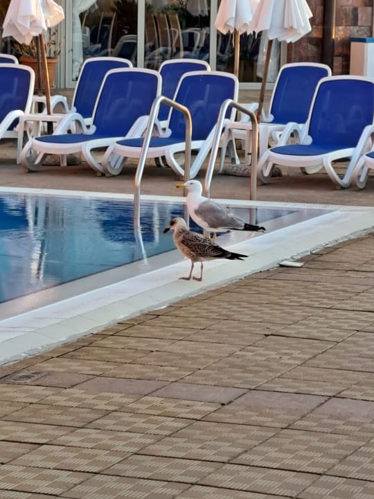 Sonstiges Sol Luna Bay