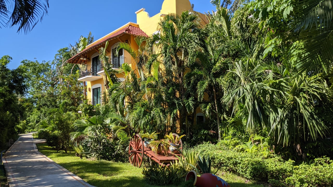 Gartenanlage Premimum Level at Occidental Cozumel