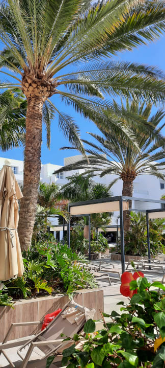 Gartenanlage Hotel Riu Palace Jandia