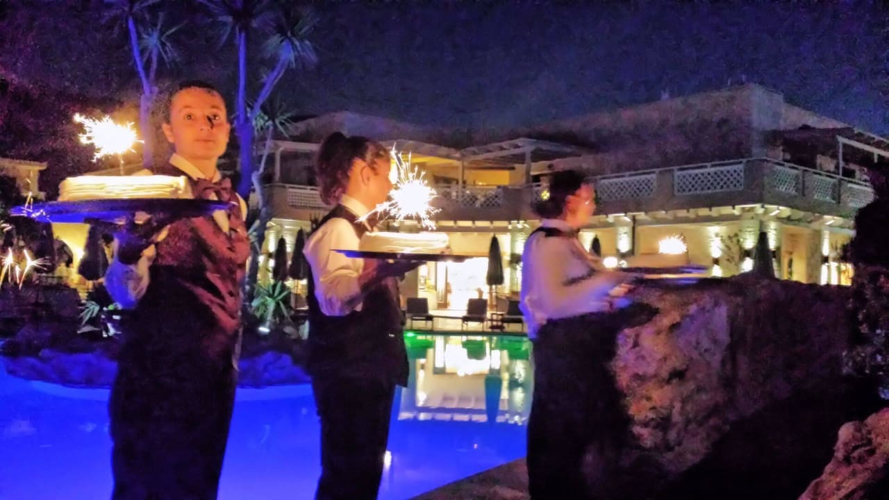 Es gab Eisbombe Cactus Royal