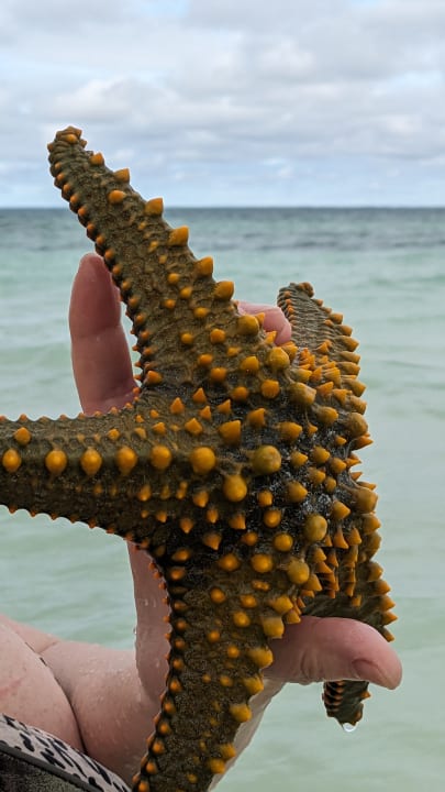 Strand Hotel Riu Palace Zanzibar