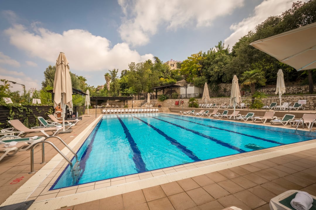 Pool Ruth Safed Hotel