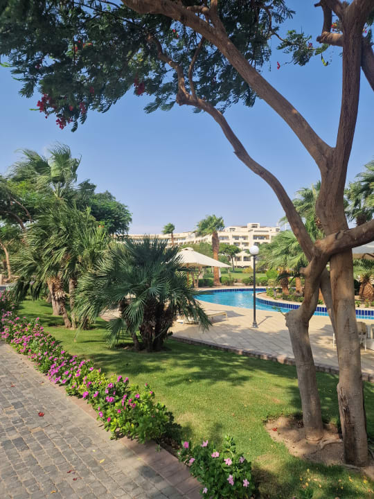 Gartenanlage Steigenberger ALDAU Beach Hotel