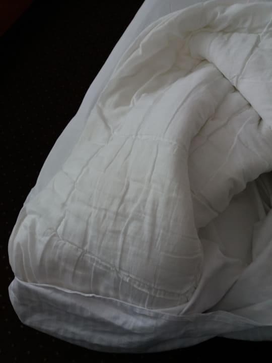 Zimmer San Medical SPA