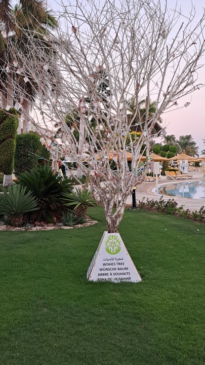 Gartenanlage LABRANDA Royal Makadi
