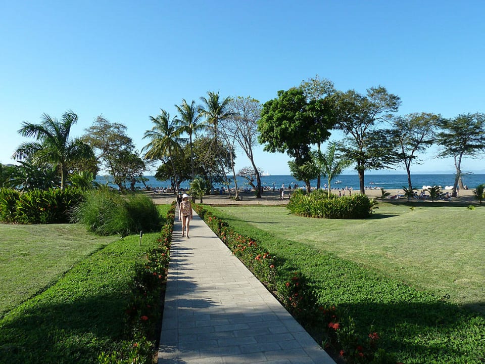 Der Weg zum Meer Hotel Riu Guanacaste