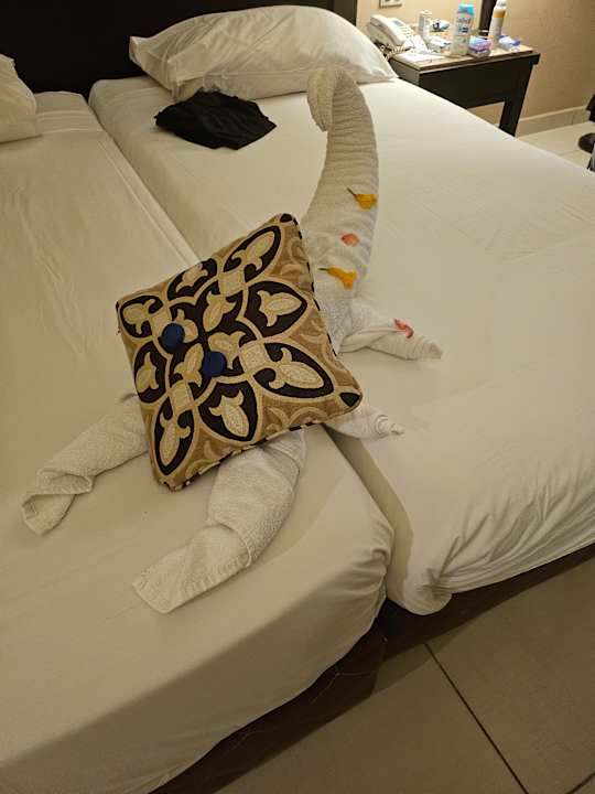 Zimmer Jaz Dar EL Madina