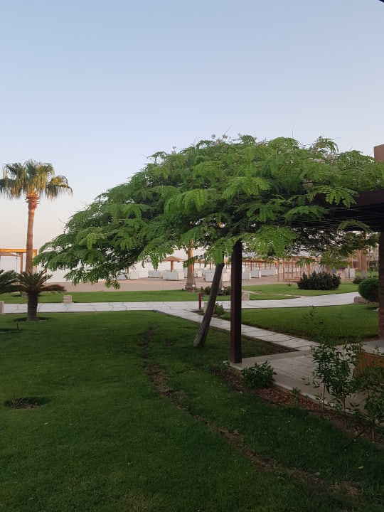 Ausblick Shams Prestige Abu Soma-Adults Only