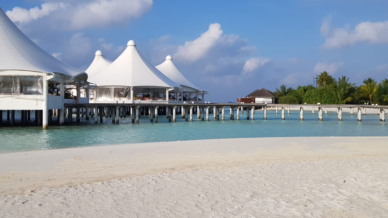 Pool Safari Island Maldives