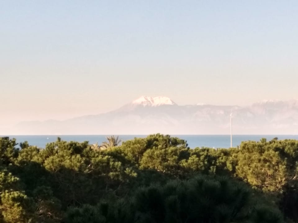 Ausblick IC Hotels Green Palace