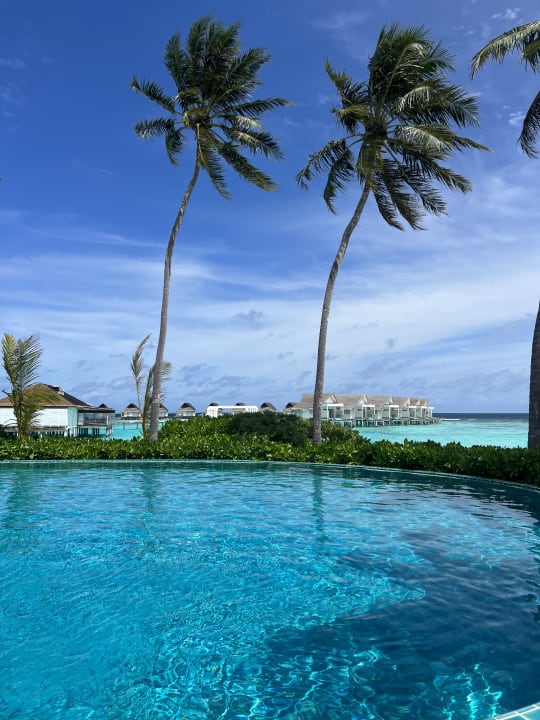 Pool Machchafushi Island Resort & Spa Maldives, The Centara Collection