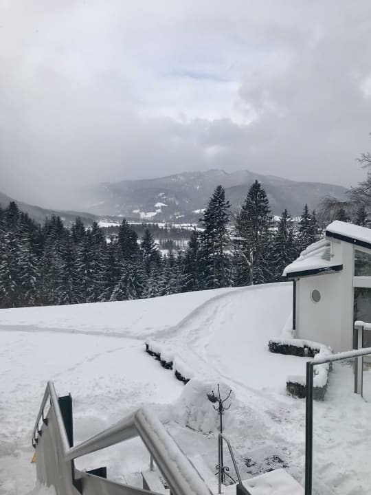 Ausblick Alm- & Wellnesshotel Alpenhof
