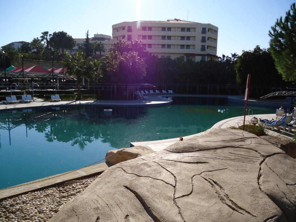 Hotel Miramare Queen Hotel