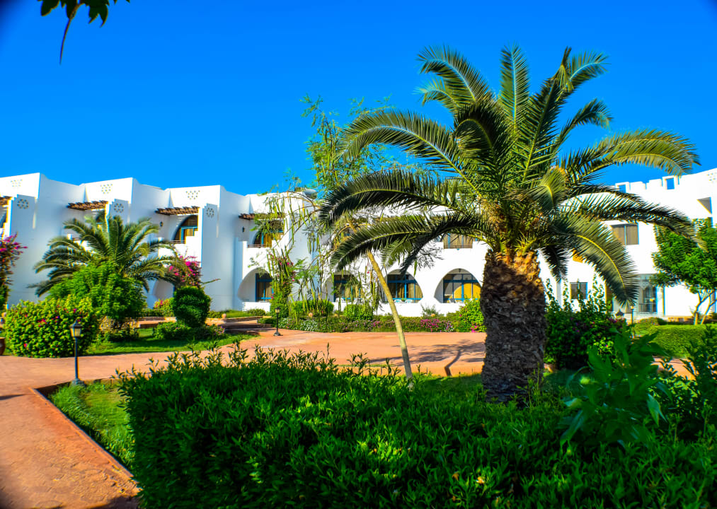 Gartenanlage Three Corners Equinox Beach Resort