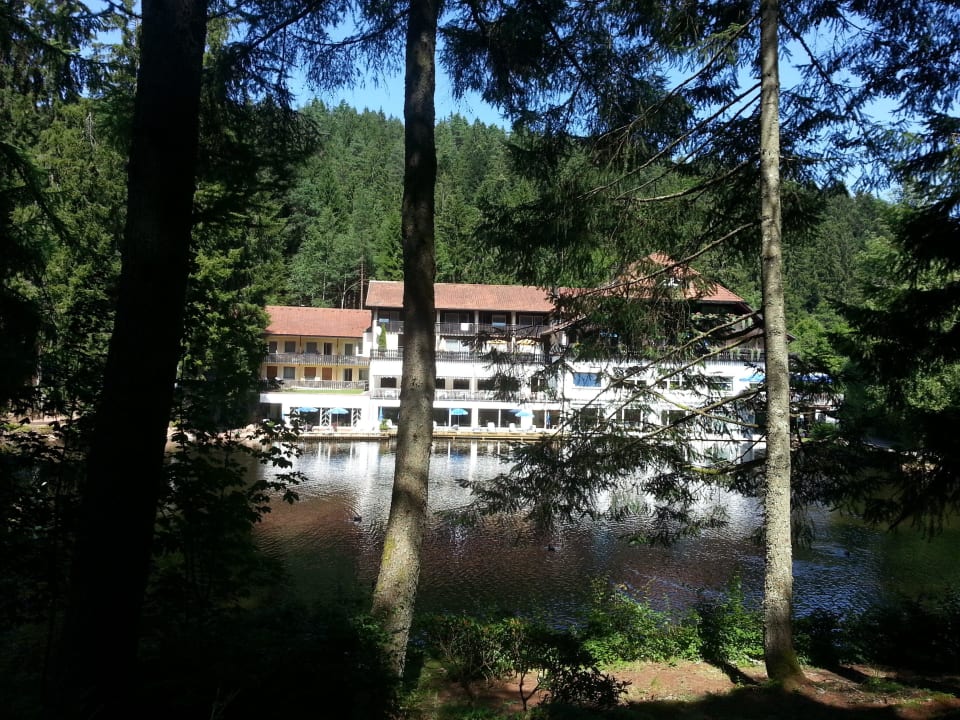 Hotel am See Hotel Langenwaldsee