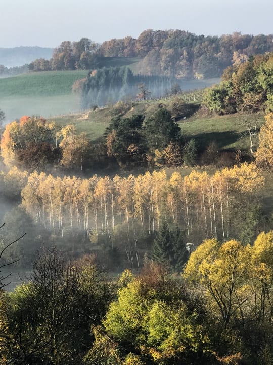 Ausblick Thermenhof PuchasPLUS Loipersdorf