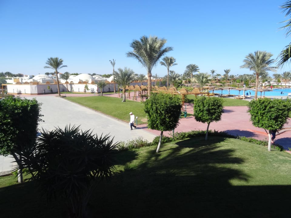 Ausblick aus dem Zimmer Desert Rose