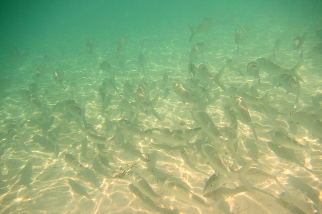 Sport & Freizeit Akumal Bay Beach & Wellness Resort