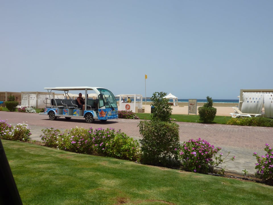 Strand mit Sim-Sim Shuttle Premier Le Reve Hotel & Spa