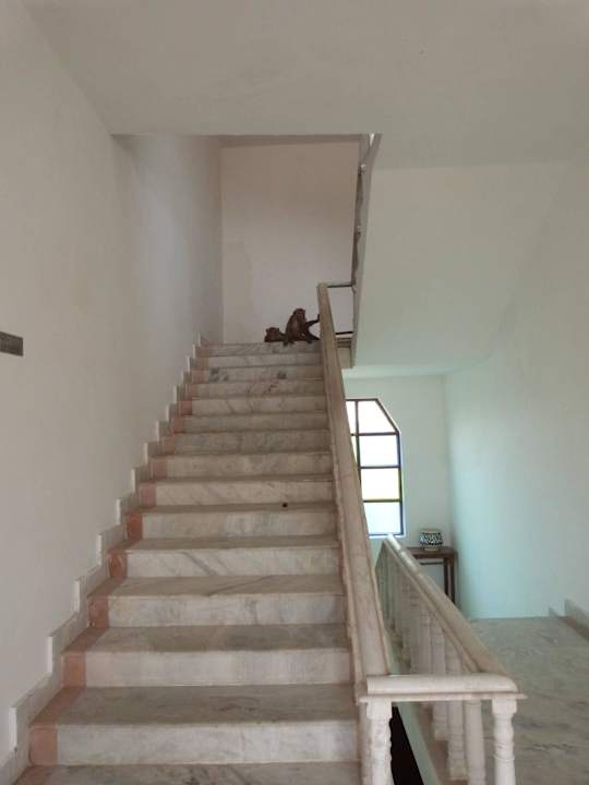 Affen im Treppenhaus-Türen schnell schließen! Hotel Surya Vilas Palace