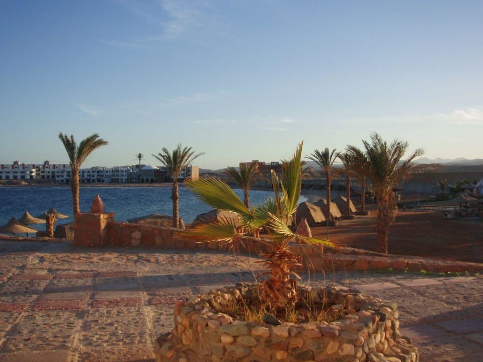 Terrasse am Abend Hotel Coral Garden