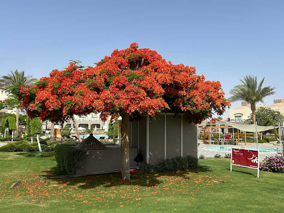 Gartenanlage Sentido Akassia Beach