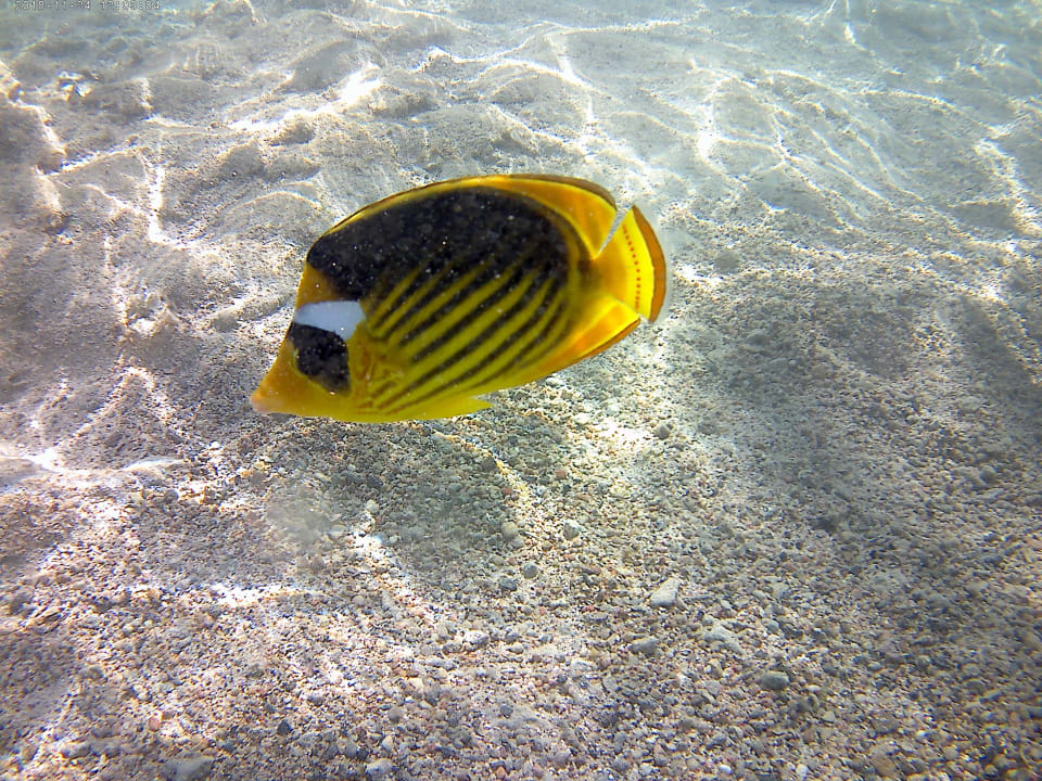 Strand Three Corners Sea Beach Resort