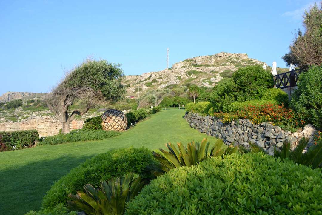 Ogród Hotel Kalithea Horizon Royal