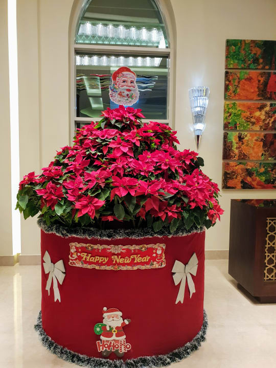 Lobby Pickalbatros Aqua Park Resort - Sharm El Sheikh