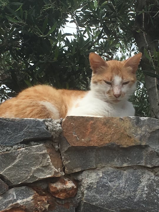 Sonstiges Creta Maris Resort