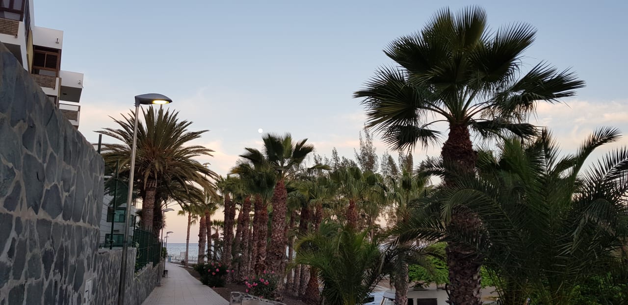 Kurzer Weg vom Hotel zum Strand Apartments Tarahal