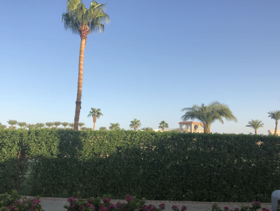 Gartenanlage Beach Albatros Resort