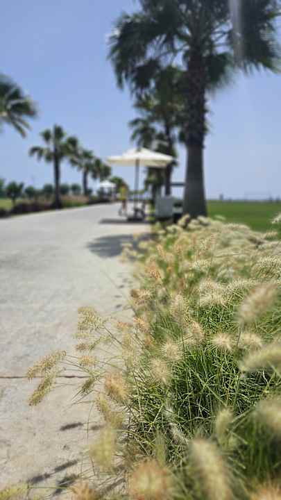 Außenansicht Jacaranda Luxury Resort