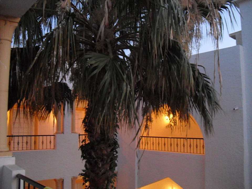 Ausblick vom Zimmer Hotel Nesrine