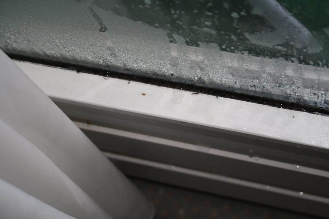 Schimmel am Fenster Burghotel Am Hohen Bogen
