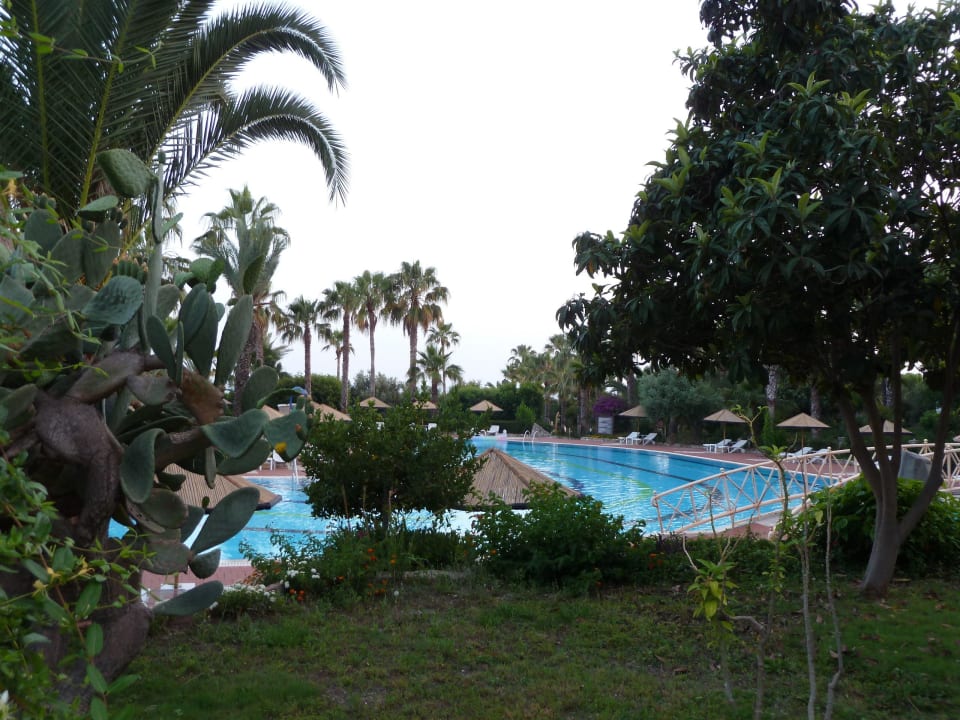 Pool und Garten Hotel Defne Garden